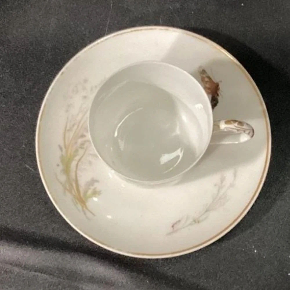 Haviland Limoges Meadow Visitors Teacup & Saucer, Two Piece Set Butterfly Design